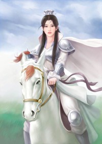 楊門女將穆桂英別傳